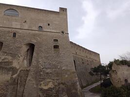 panorama de Nápoles desde castel sant'elmo ofertas un asombroso ver de el de la ciudad vibrante calles, histórico puntos de referencia, y el fascinante belleza de el bahía de Nápoles foto