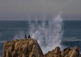 CA Coast Monterey 0124 photo