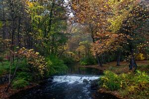 Connecticut Fall Colors photo