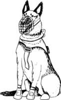 K9 sitting dog of German shepherd or belgian malinois in muzzle and vest vector illustration. Ink drawing of military guard dog for Veteran day designs