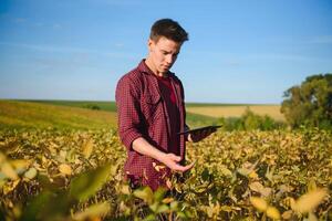 retrato de joven granjero en pie en archivado examinando haba de soja corp. foto