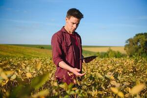 Portrait of young farmer standing in filed examining soybean corp. photo