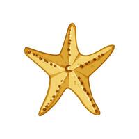 beach sea star cartoon vector illustration