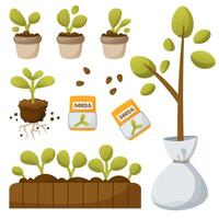 Vector set of seedlings, seeds, tree sapling. Raasada in small pots, in a wooden yatsik, without a slide with visible roots. Tree seedling in a bag. Vegetable garden, gardener, growing plants.