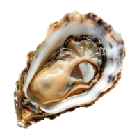 AI generated Oyster isolated on transparent background png