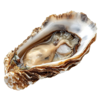 AI generated Oyster isolated on transparent background png