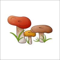 Russula vector color isolated illustration. Theme of plants, botanists, mushrooms in cartoon style. Design element for theme forest mushrooms, menu, forest, ingredients, recipes, organic products, etc