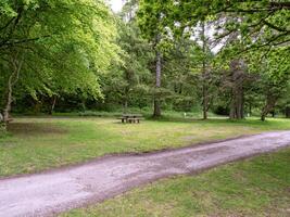 sendero y picnic mesa a ardiente en el argyll bosque parque, Escocia foto