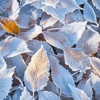AI generated Icy tranquility Fallen leaves adorned with hoarfrost in a snowy park For Social Media Post Size photo