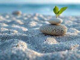 AI Generated Minimalist Zen garden with raked sand and simple photo