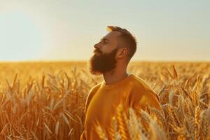 AI generated Bearded man in yellow sweater walking in wheat field photo