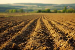 AI generated Selective blur on furrows in agricultural landscape. photo