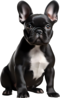 ai généré image de un adorable français bouledogue. png