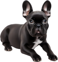 AI generated Picture of an adorable French bulldog. png