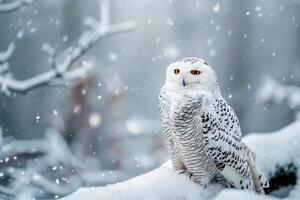 AI generated Snowy owl sitting on the plain with snowflakes.Generative Ai photo