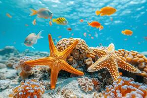 AI generated Colorful tropical starfish and fish in a coral reef.Generative AI photo