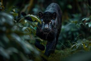 ai generado negro pantera en tropical selva tropical.generativa ai foto