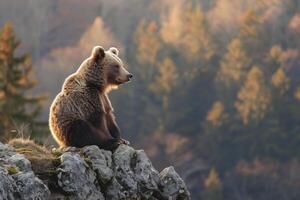 AI generated Brown  bear sitting on clifftop looking for something.Generative Ai photo