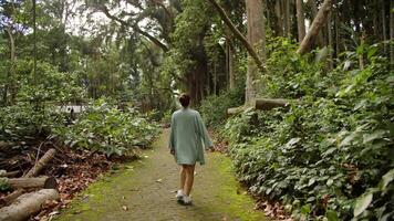 menina com uma agrupar e uma saia caminhando ao longo uma caminho dentro parque com tropical árvores video