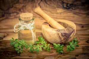 green Woodruff vinegar on olive wood photo