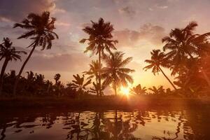 Sunset on Kerala backwaters photo