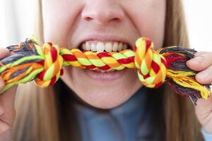 Playful Human-Dog Interaction with Toy photo