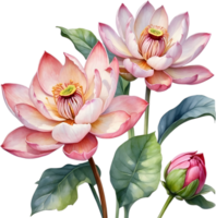 ai généré aquarelle La peinture de Brahma Kamal fleur. png