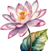 AI generated Watercolor painting of Brahma Kamal flower. png