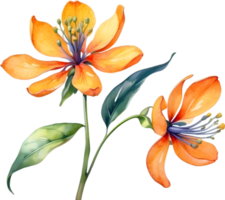 AI generated Watercolor painting of Palash flower. png