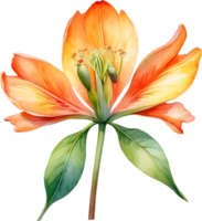 AI generated Watercolor painting of Palash flower. png