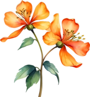 AI generated Watercolor painting of Palash flower. png