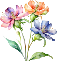 AI generated Watercolor painting of Palash flower. png