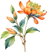 AI generated Watercolor painting of Palash flower. png