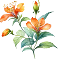 AI generated Watercolor painting of Palash flower. png