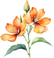 AI generated Watercolor painting of Palash flower. png