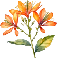 AI generated Watercolor painting of Palash flower. png