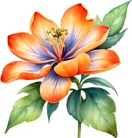 AI generated Watercolor painting of Palash flower. png