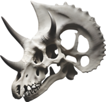 AI generated Silhouetted Dinosaur skull clipart. png