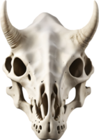 AI generated Silhouetted Dinosaur skull clipart. png