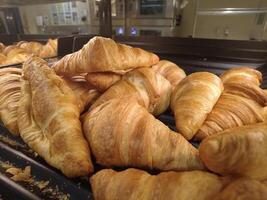 Fresh Croissant on tray photo