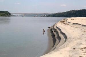 Sand Island on the Danube River with view of Beska Bridge in Vojvodina, Serbia photo