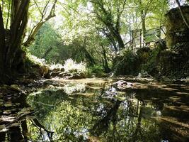 río con reflexión en el bosque, serbia Europa foto