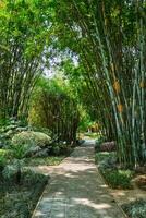 Wangjiang Pavilion in Wangjianglou park. Chengdu, Sichuan, China photo