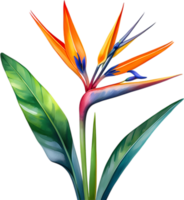 AI generated Watercolor painting of Crane Flower ,Strelitzia reginae. png