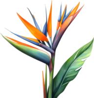 ai generado acuarela pintura de grua flor ,strelitzia reginae. png