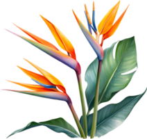 ai generado acuarela pintura de grua flor ,strelitzia reginae. png