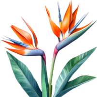 ai genererad vattenfärg målning av kran blomma ,strelitzia reginae. png