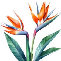 ai gegenereerd waterverf schilderij van kraan bloem ,strelitzia reginae. png