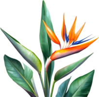 ai gegenereerd waterverf schilderij van kraan bloem ,strelitzia reginae. png