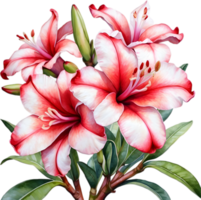 AI generated Watercolor painting of Impala Lily, Adenium multiflorum png